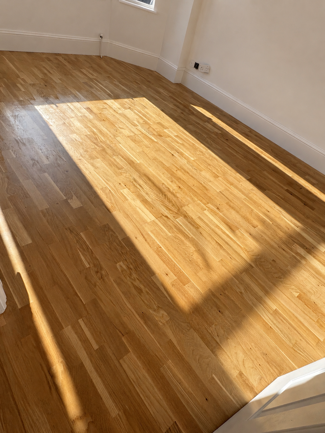 Oak flooring professionally sanded and refinished to restore its natural colour and finish